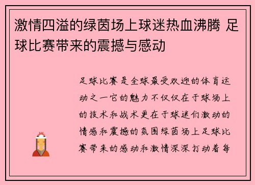 激情四溢的绿茵场上球迷热血沸腾 足球比赛带来的震撼与感动