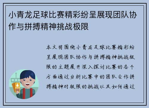 小青龙足球比赛精彩纷呈展现团队协作与拼搏精神挑战极限