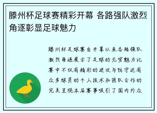滕州杯足球赛精彩开幕 各路强队激烈角逐彰显足球魅力